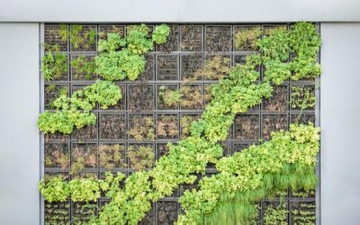 Expand Your Outdoor Space With A Vertical Garden