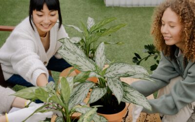 Bringing Your Dream Eco-Friendly Garden To Life